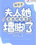 魏先生,夫人她又去挖女主墙脚了