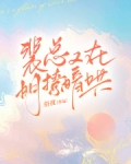 裴总又在明撩暗哄