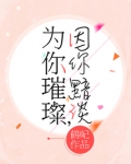 为你璀璨,因你黯淡