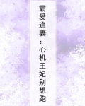 霸爱追妻:心机王妃别想跑