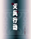 灭风行动