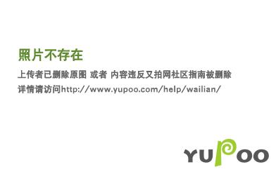 我的道侣天下第一网盘