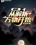 巫师:从解析万物开始