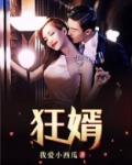 狂婿