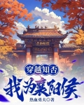 穿越知否,我为襄阳侯