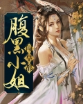 腹黑小姐闯皇都