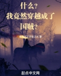 什么?我竟然穿越成了国贼?