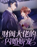 财阀大佬的闪婚娇宠