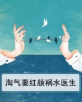 淘气妻红颜祸水医生