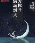 满城烟火为你开