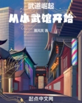 武道崛起从小武馆开始