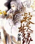 凝灵梦缘