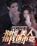 开局停职:别慌,美人抬我进市委