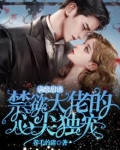 满级甜诱,禁欲大佬的心尖独宠