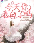 今天你表白了吗