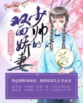 少帅的双面娇妻