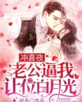 冲喜夜,老公逼我让位白月光