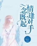 一念既起，情逢对手