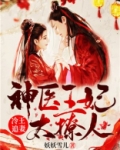 冷王追妻:神医王妃太撩人