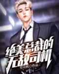绝美总裁的无敌司机