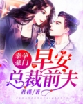幸孕豪门:早安,总裁前夫