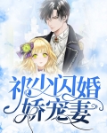 祁少闪婚娇宠妻
