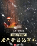 烟水寻常事之老刑警的记事本