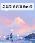 总裁别想逃离我的爱