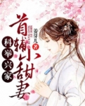 科举兴家:首辅小甜妻