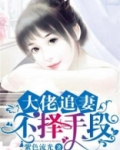 大佬追妻不择手段