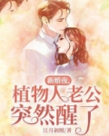 新婚夜,植物人老公突然醒了