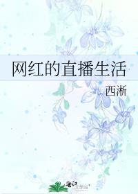 网红的直播生活