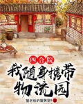 四合院:我随身携带物流园