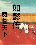 如懿传之凤临天下剧情介绍