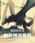 转生成巨龙,但被精灵眷养