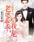 总裁有令，老婆乖乖给我宠