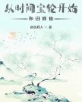 从时间宝轮开始种田修仙