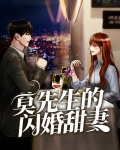 莫先生的闪婚甜妻