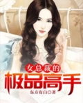 女总裁的极品高手