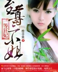 一等狂妃，至尊三小姐