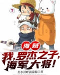 海贼:我,罗杰之子,海军大将!