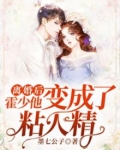 离婚后,霍少他变成了粘人精