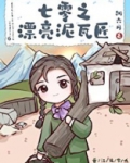 七零之漂亮泥瓦匠
