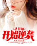 从赘婿开始逆袭