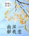 南风解我意