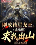 刚成铸星龙王,武魂殿求我出山