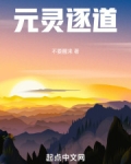 元灵逐道