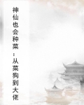 神仙也会种菜:从菜狗到大佬