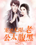宠爱无限:老公太腹黑