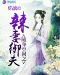 随身空间之辣妻御夫